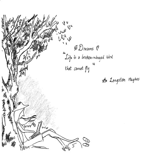 Illustrations: Book Cover