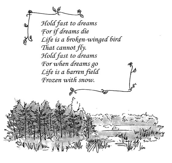 Illustrations: Book Cover