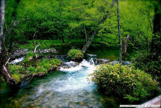 Photography:  /ˌsen(t)əˈmen(t)l/ 