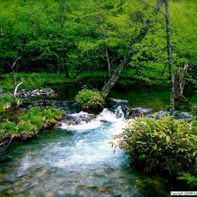 Photography:  /ˌsen(t)əˈmen(t)l/ 